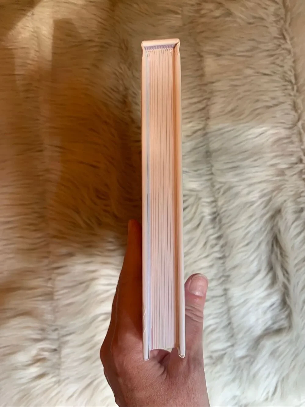 The Home Edit Stay Organized Book New